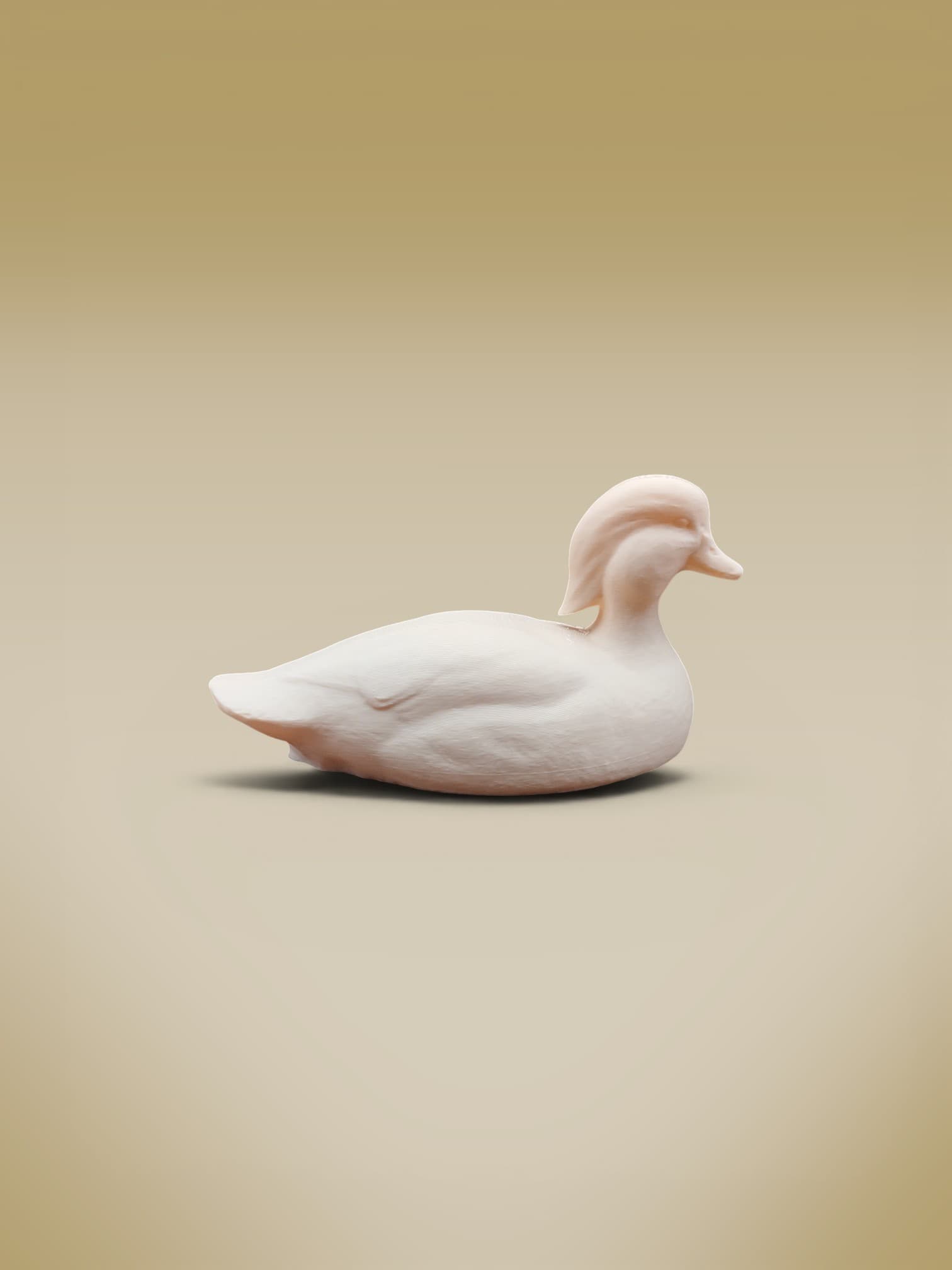 Duck Decoy