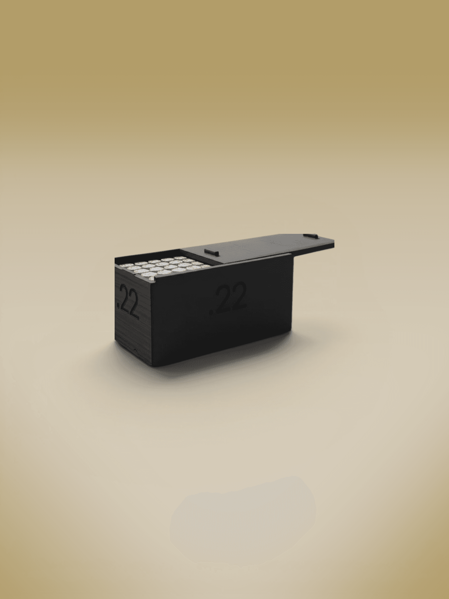 Ammo Box (.22)